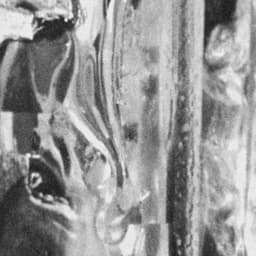 THE DAY BEGINS WITH A LOUD BOOM