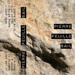 PIERRE FEUILLE 6AIL