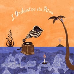L'Orchestre Du Piton