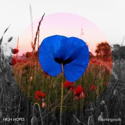 Parachutes - Burkingyouth