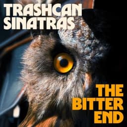 The Bitter End - Trashcan Sinatras
