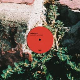 One Last Nothing - DARKSIDE