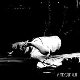 Mandolin Gun - Richard Sallis