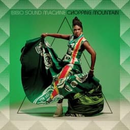 Concept of Love - Ibibio Sound Machine