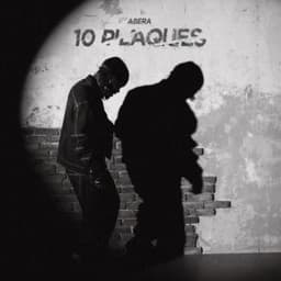 10 Plaques - Abera