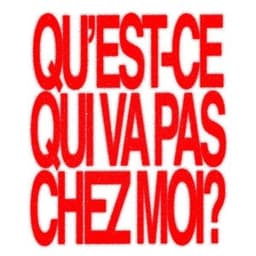 QU'EST-CE QUI VA PAS CHEZ MOI ? - Sese