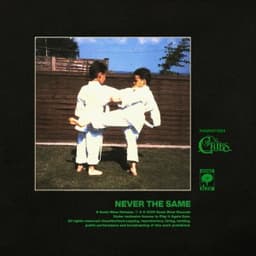 Never The Same - The Cribs