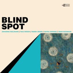 Blind Spot - Johannes Wallmann & Nick Moran & Dayna Stephens & Ingrid Jensen & Adam Nussbaum