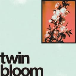 Magazine Dreams - Twin Bloom