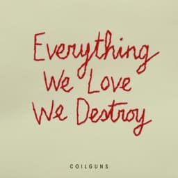 Everything We Love, We Destroy - Coilguns