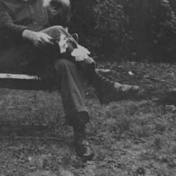 The Long Surrender - NEEDTOBREATHE