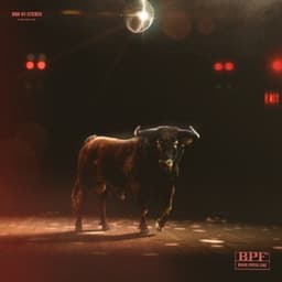 American Wet Dream - Black Pistol Fire