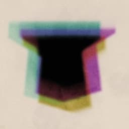 Gorille Dans La Brume - Grand Singe